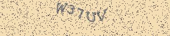 An error has occurred while getting captcha image