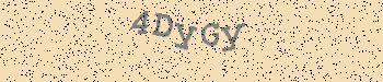 An error has occurred while getting captcha image